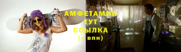 молекула духа Алексеевка