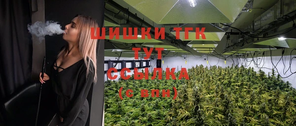 молекула духа Алексеевка