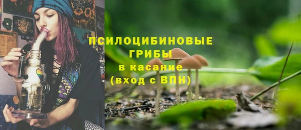 молекула духа Алексеевка