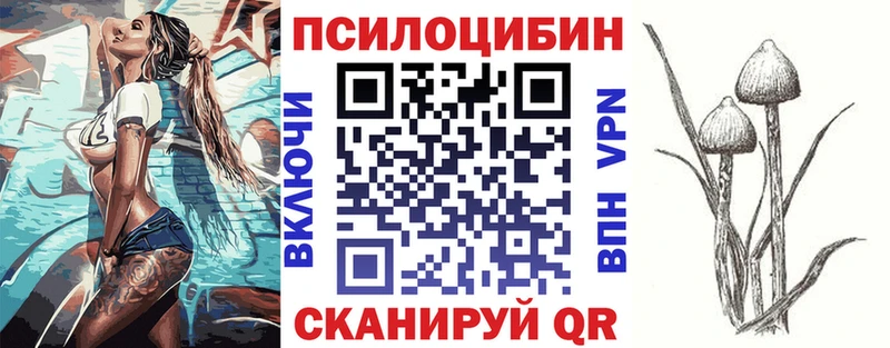 Галлюциногенные грибы Magic Shrooms  наркотики  Шацк 